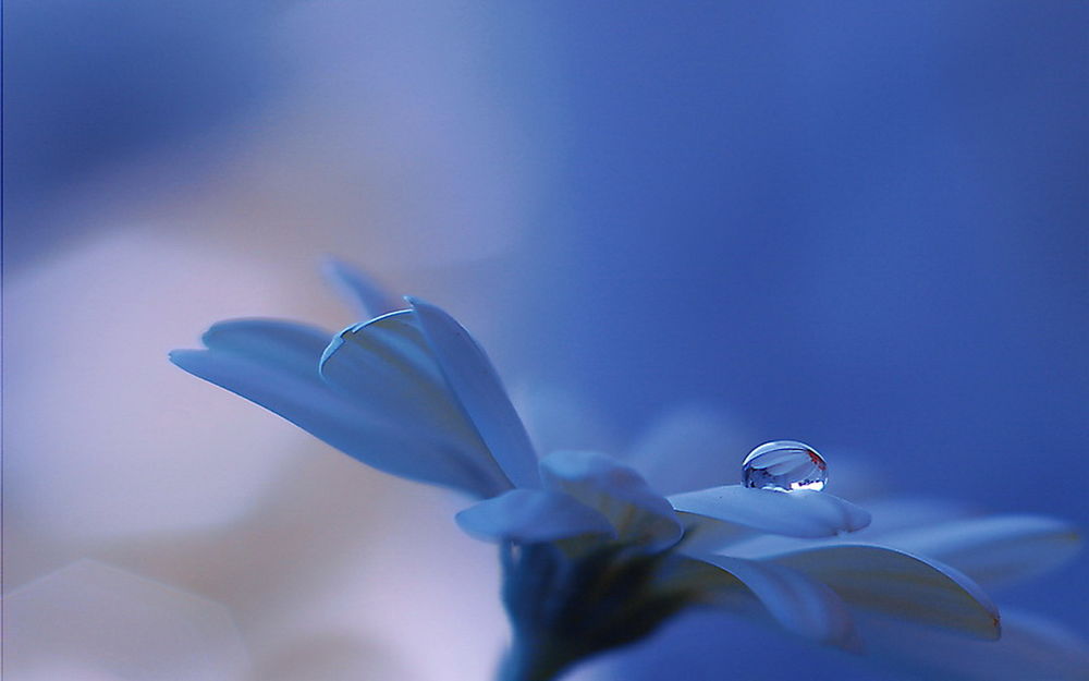 Beautiful and delicate work of the photographer Jay Nan 01