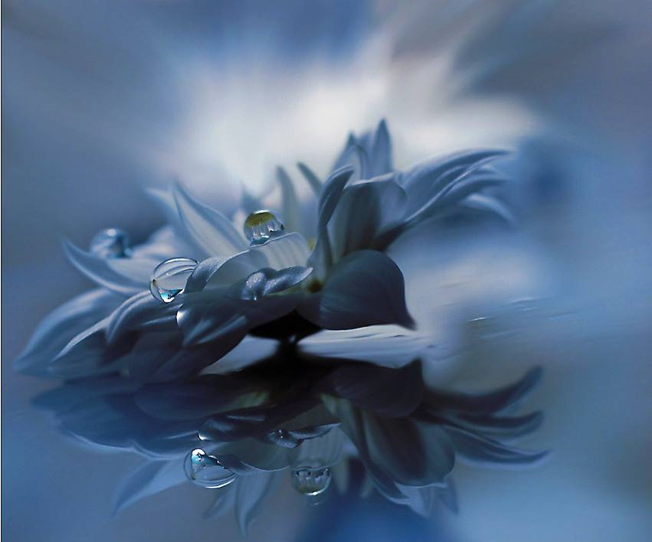 Beautiful and delicate work of the photographer Jay Nan 08