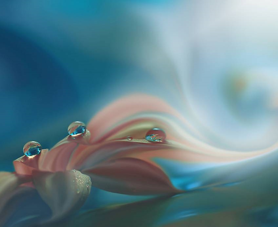 Beautiful and delicate work of the photographer Jay Nan 30
