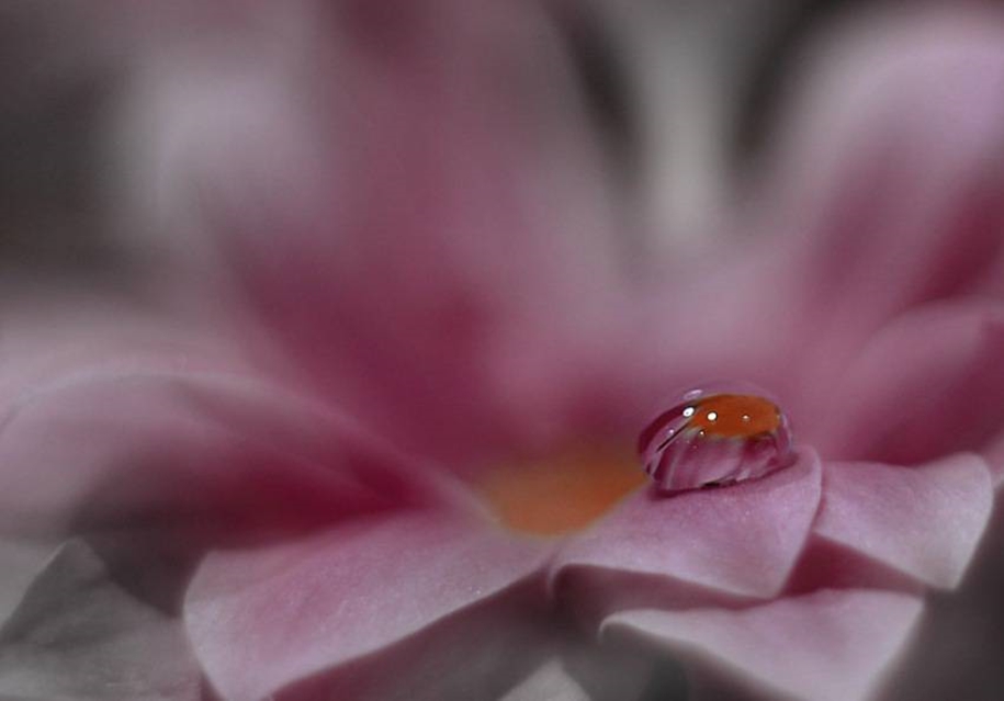 Beautiful and delicate work of the photographer Jay Nan 32