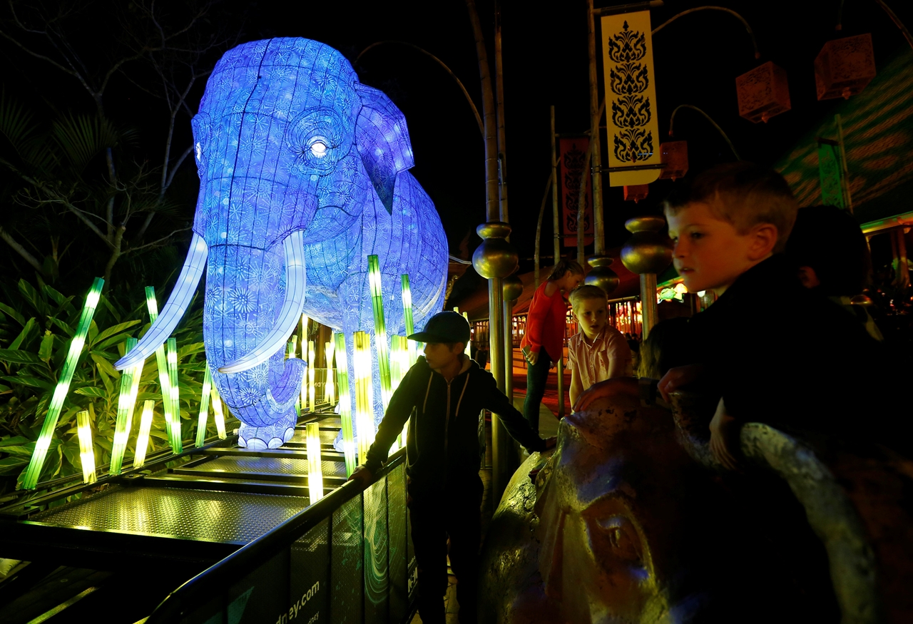 Festival of light sculptures in Sydney 04