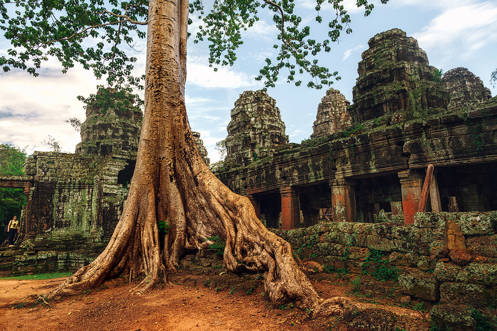The Angkor Wat. City in the jungle 12