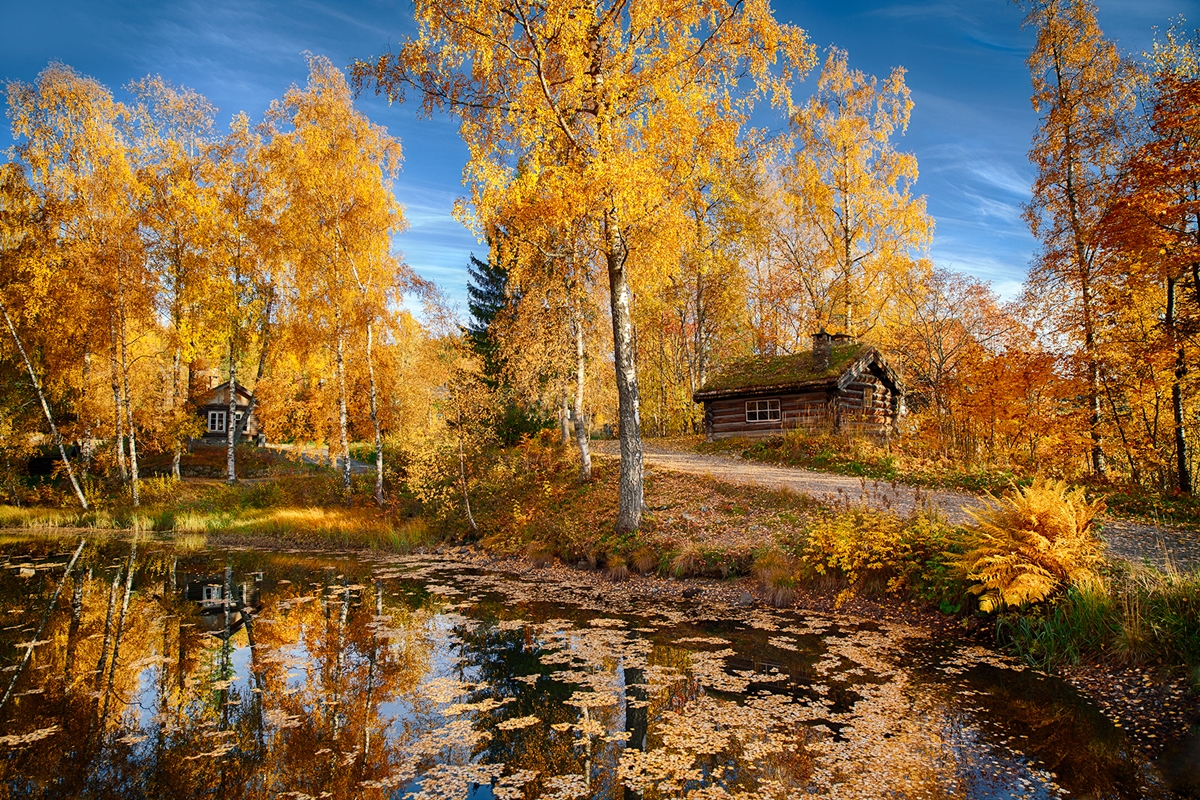 The Norwegian landscape photographer Martynas Milkevicius 17