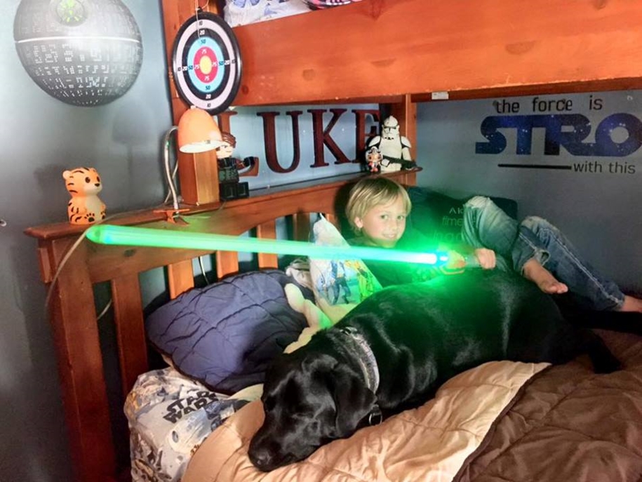 The dog - Keeper named Jedi 07