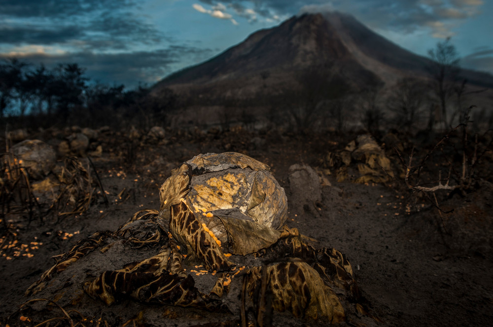 The effects of the eruption of a volcano in Indonesia 06