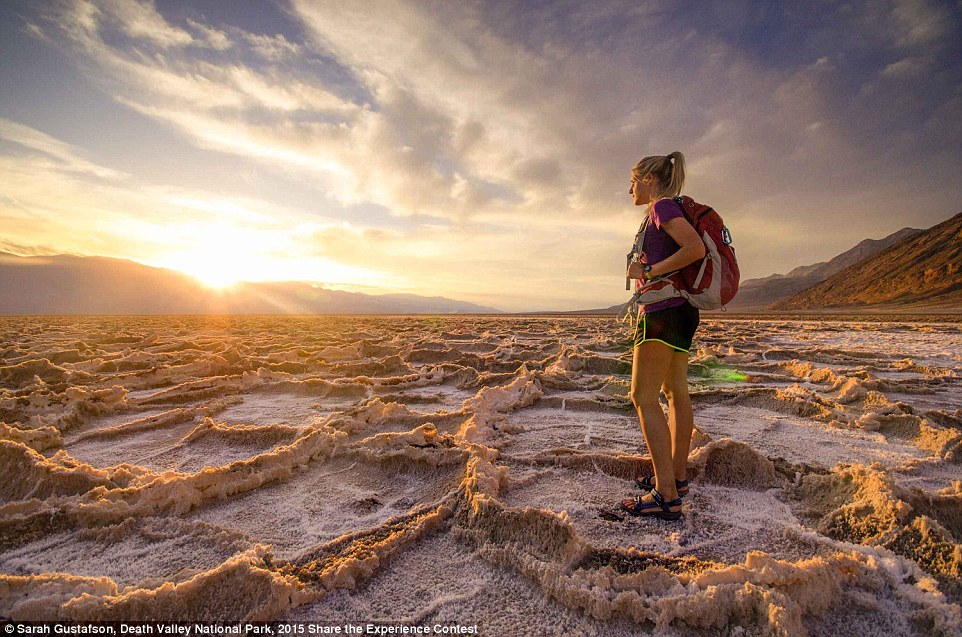 The winners of the contest of photos taken in national parks of the USA 04