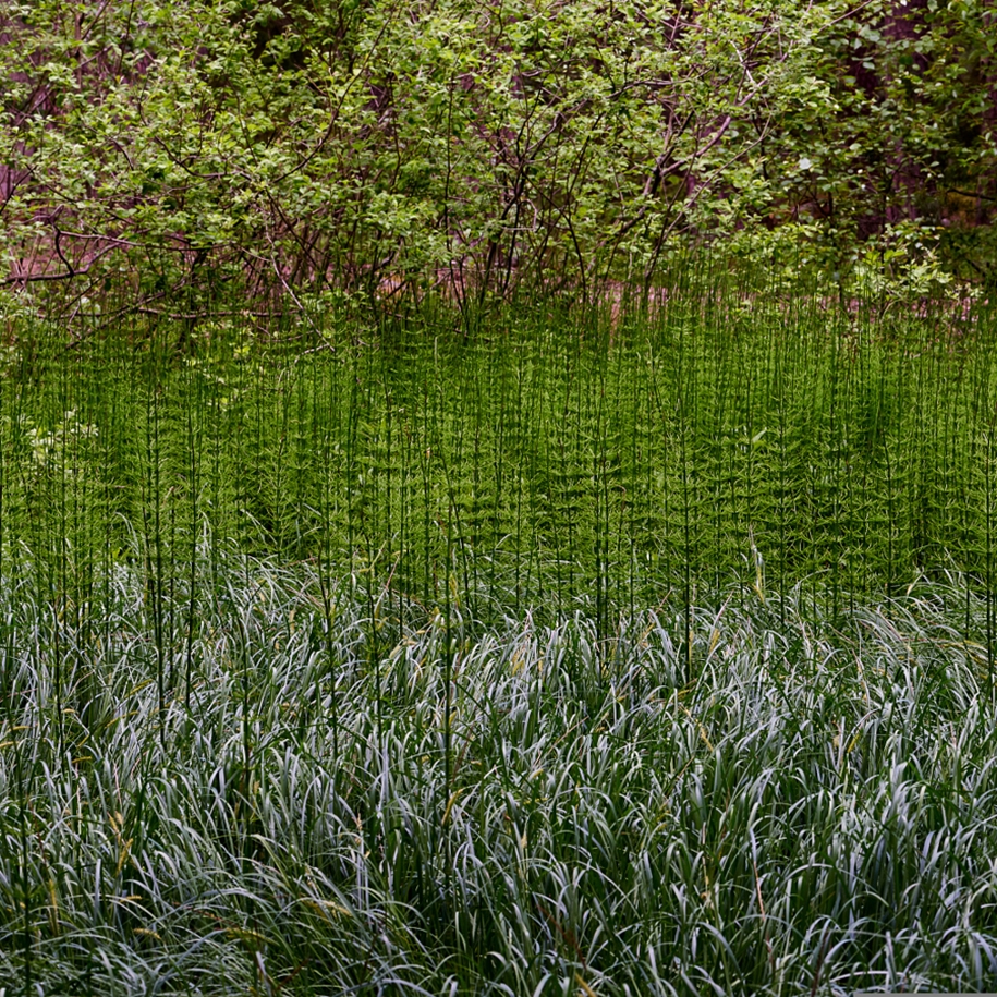 30 shades of green in the photos for inspiration 27