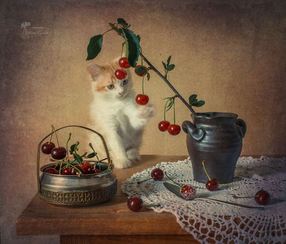 Beautiful still lifes for inspiration 05