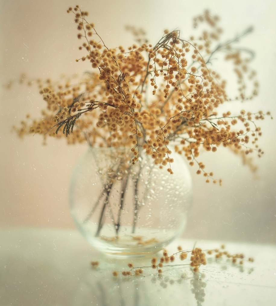 Beautiful still lifes for inspiration 10