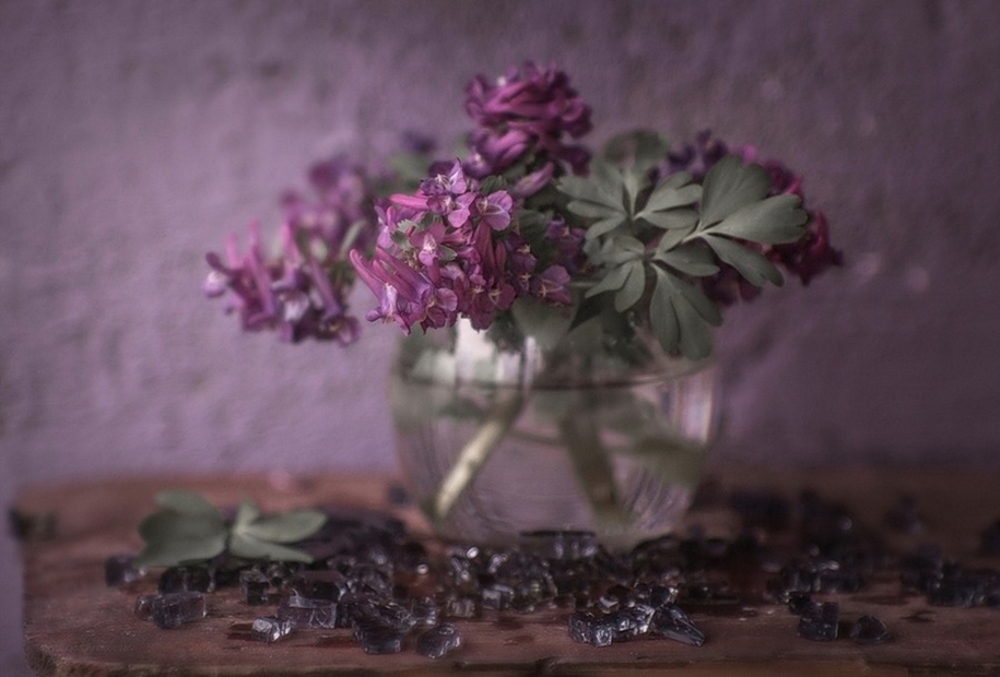 Beautiful still lifes for inspiration 25