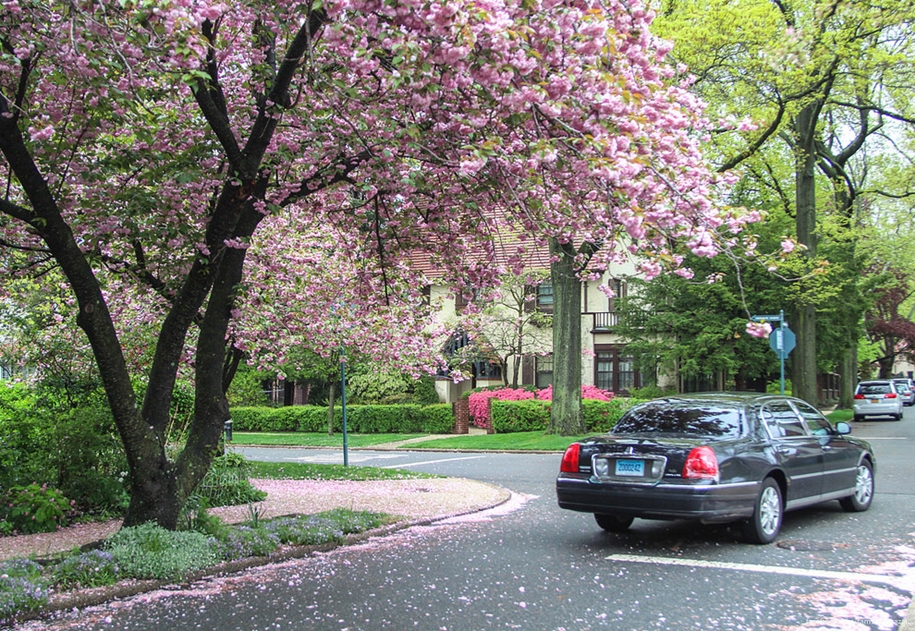 Forest hills gardens is one of the best areas of new York 44