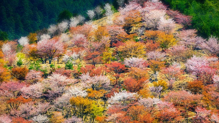 Natural wonders of Japan 13