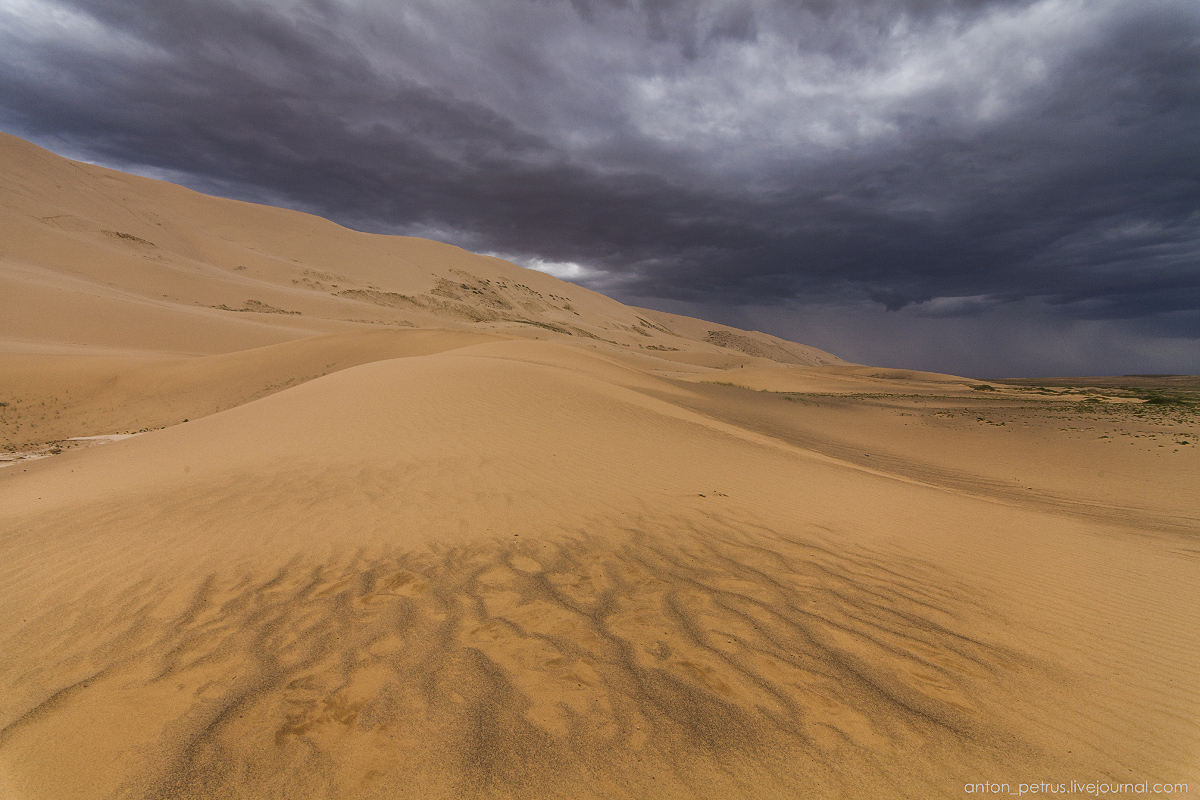 Desert storm 09