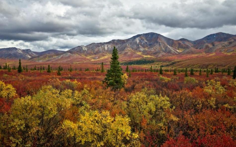 the-stunning-beauty-of-autumn-in-different-parts-of-the-world-19