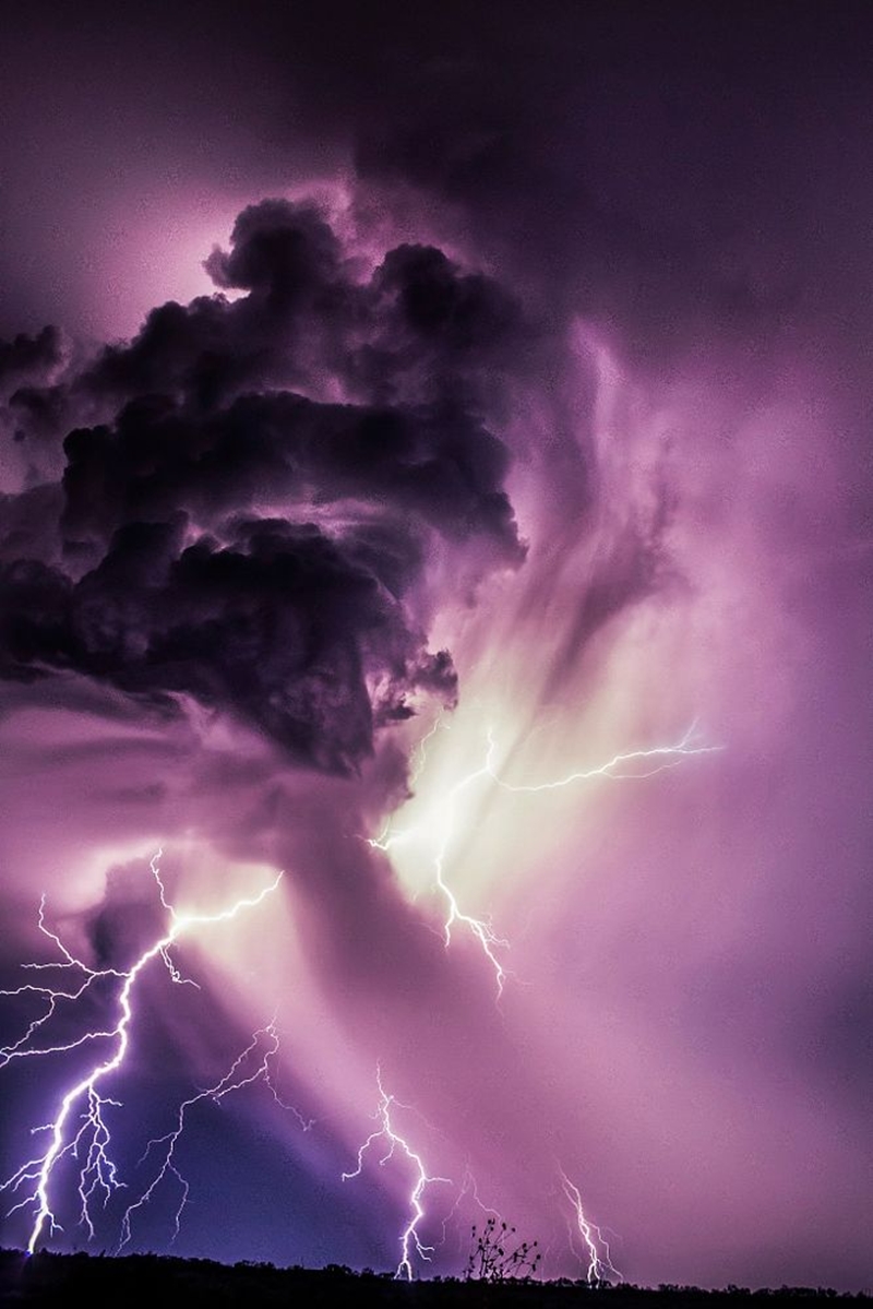 purple-mood-pictures-from-the-most-mysterious-color-27