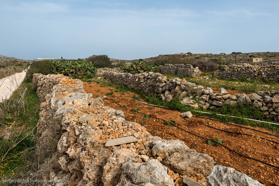 the-maltese-shores-15