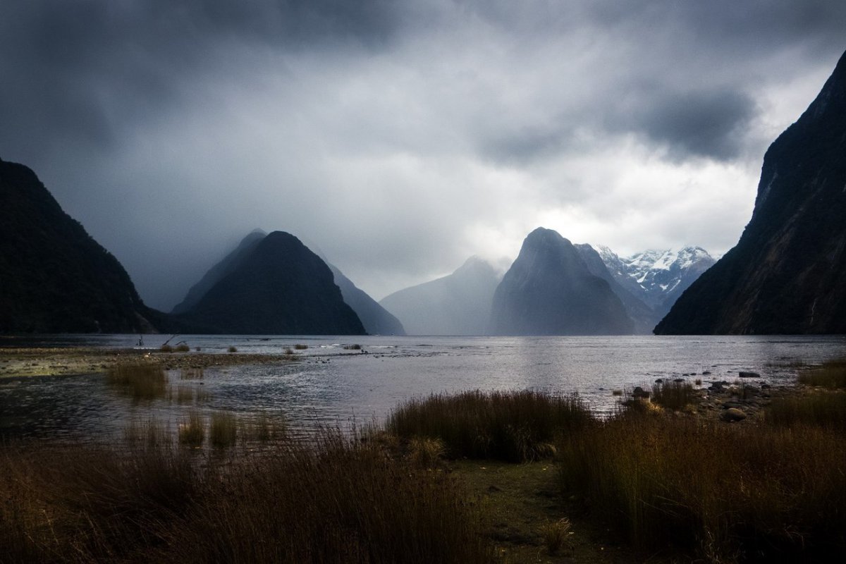 Dark Markets New Zealand