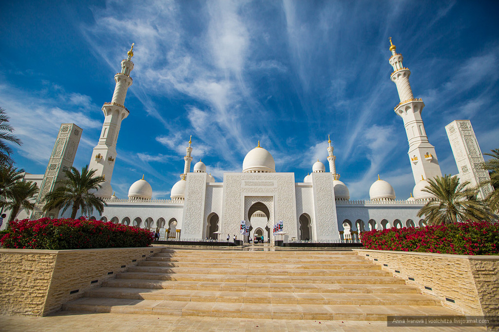 Шейх абу даби фото