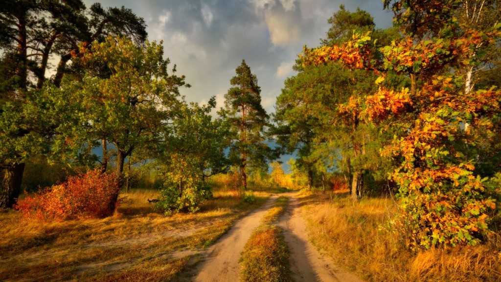 Как можно сделать красивые фото на природе