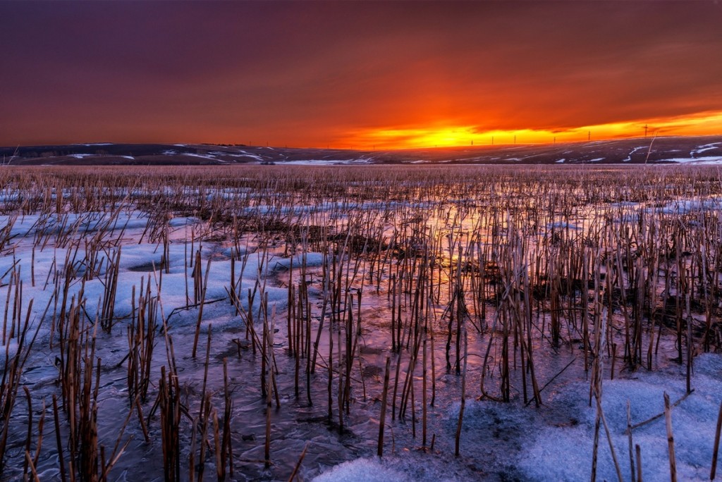 Алтайский край фото природы