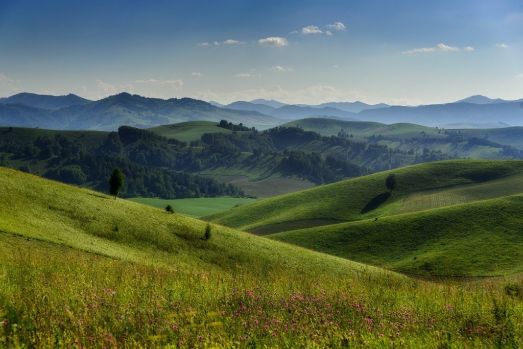 Картинки алтайского края самые красивые места