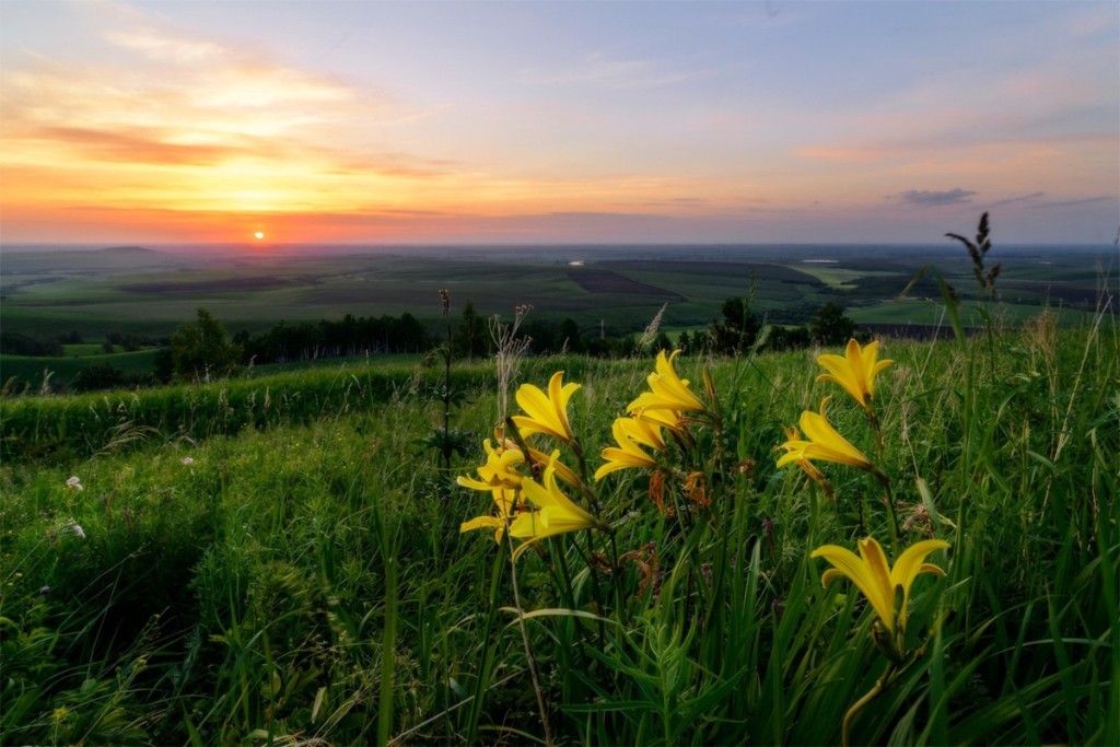 Алтайский край фото природы