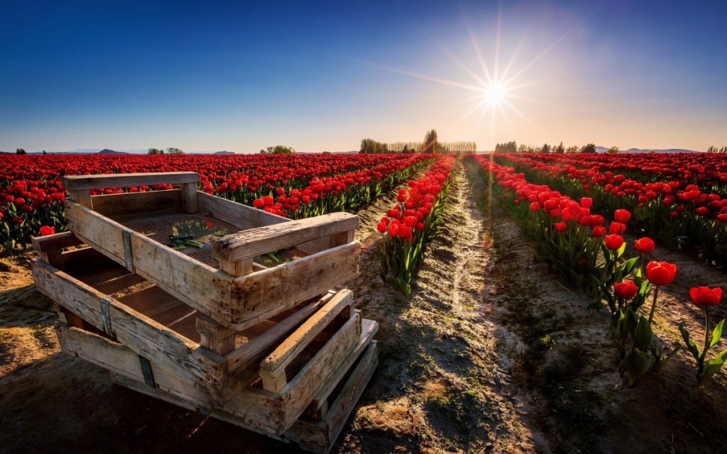 Красивые и яркие фотографии | FotoRelax