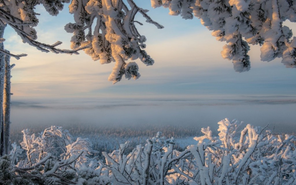 Шенкурск фото зимой