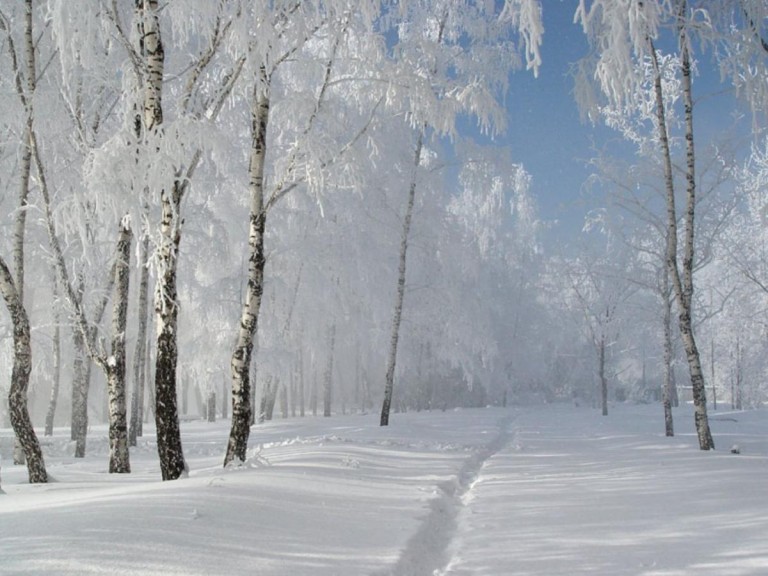 Фото на аву зимние фото