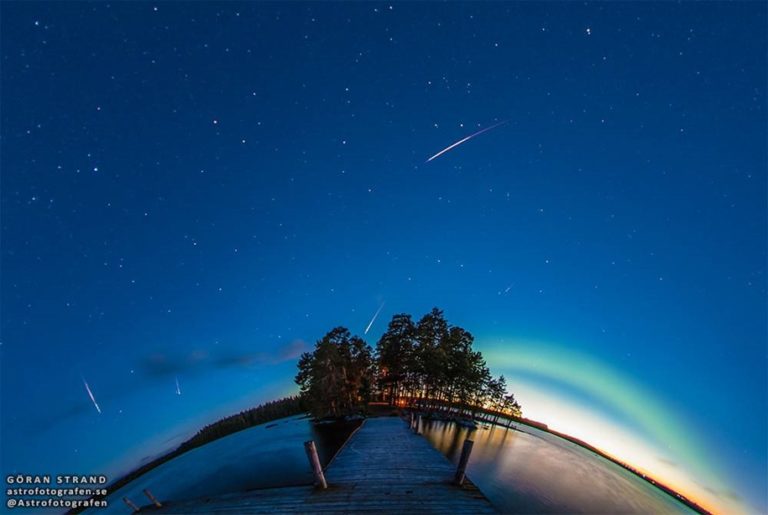 Переливы зеленого | FotoRelax