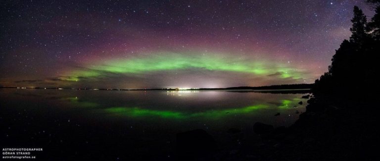 Переливы зеленого | FotoRelax