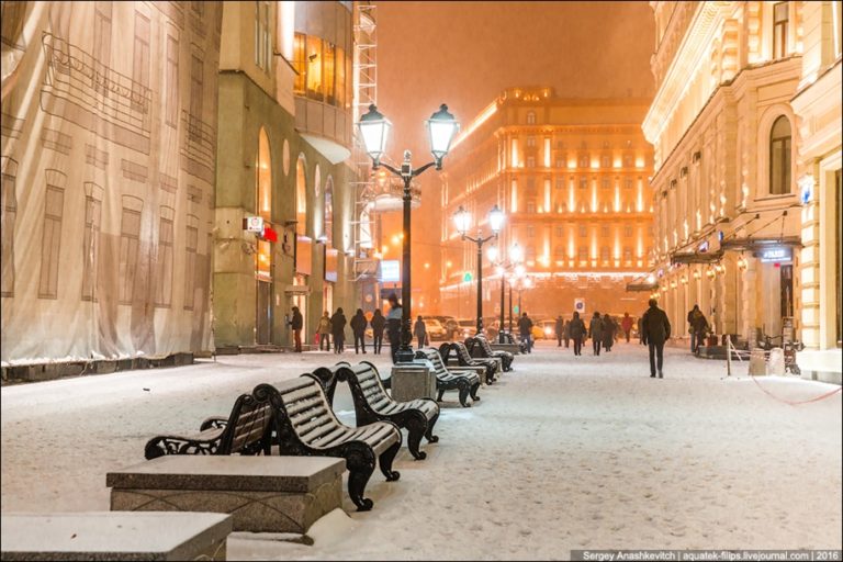 Красавица москвы фото и описание