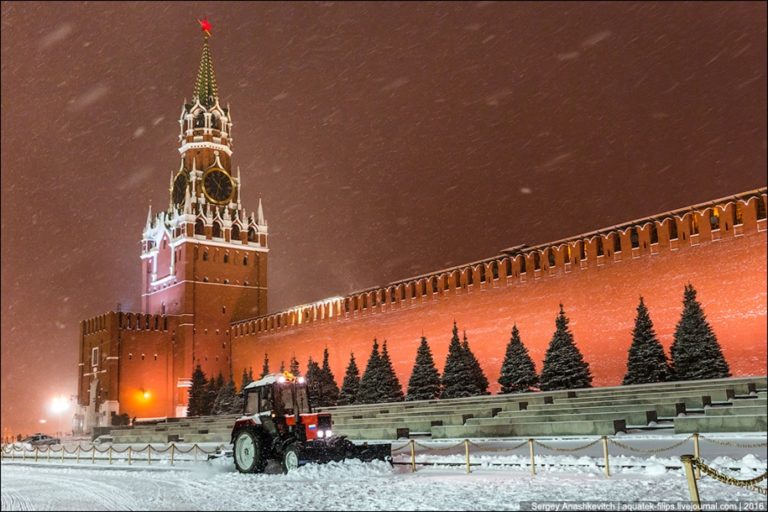 Красавица москвы фото и описание