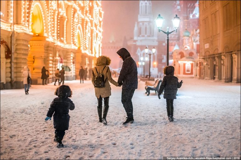 Красавица москвы фото и описание