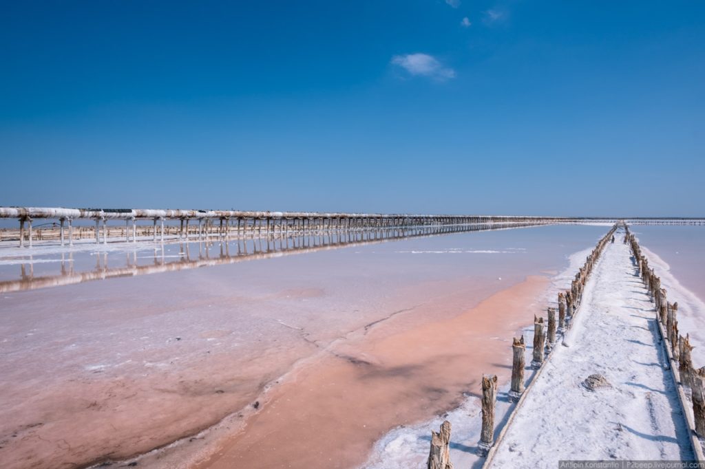 Сасык сиваш в крыму фото сверху