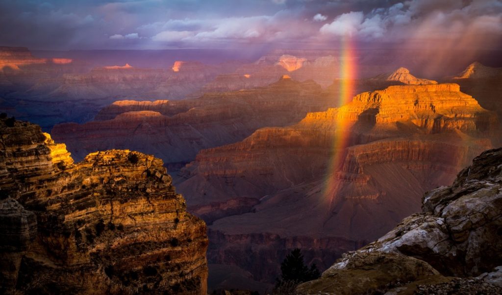 Фотографии national geographic лучшие фотографии