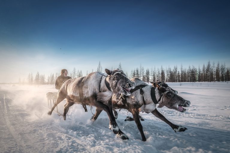 Международный конкурс фотографии