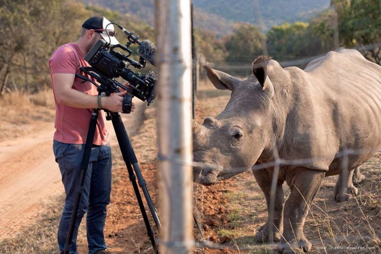 Дикий носорог подошел к человеку за порцией ласки | FotoRelax