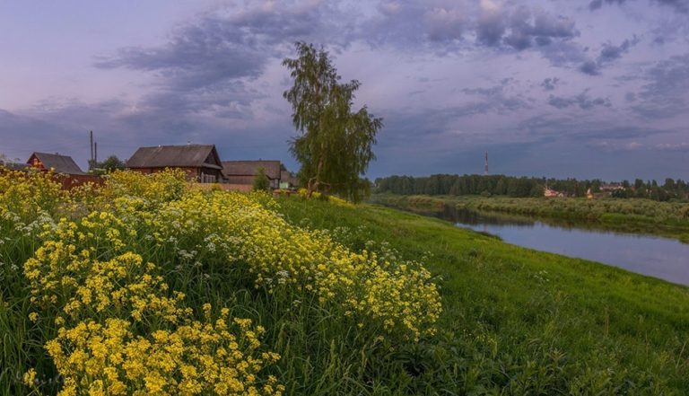 Картинки сельской местности красивые