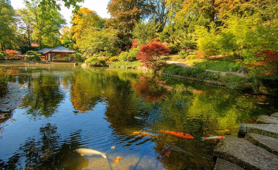 Знаменитые японские сады за пределами Страны восходящего солнца 
