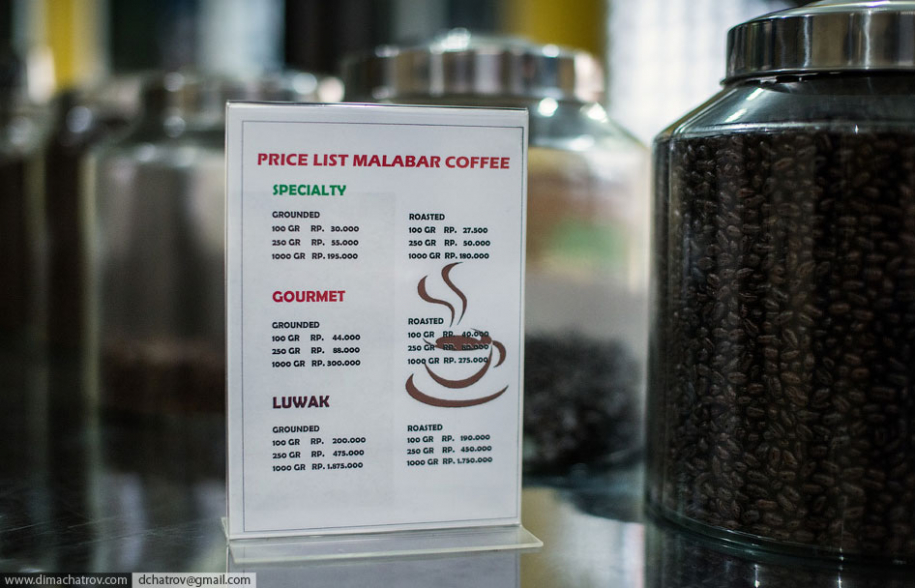 Как делают самый дорогой кофе в мире 
