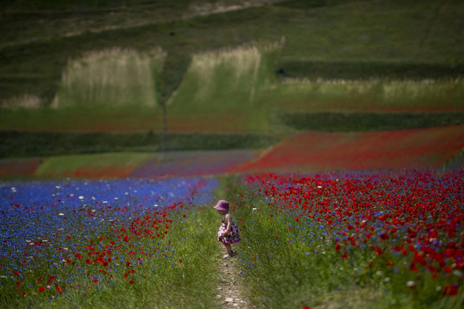 Разноцветная долина Италии. Кастеллуччо 