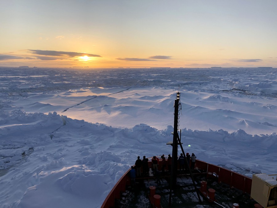 Scenes From Antarctica