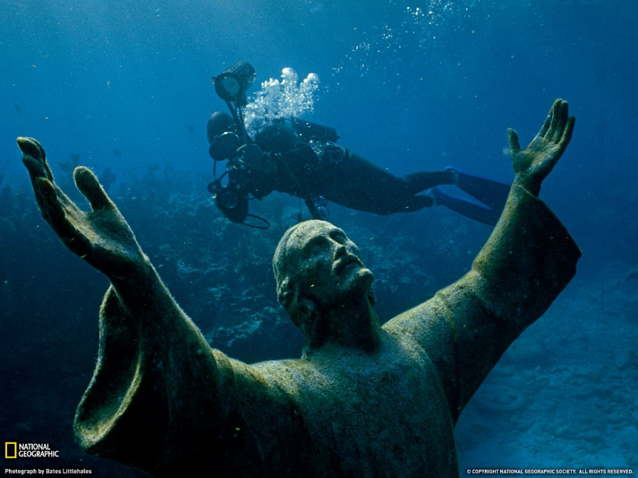Удивительный подводный мир. Часть 2 