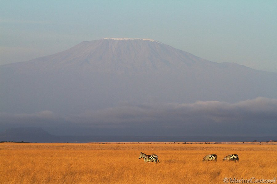Африканское сафари с фотографом Marius Coetzee 