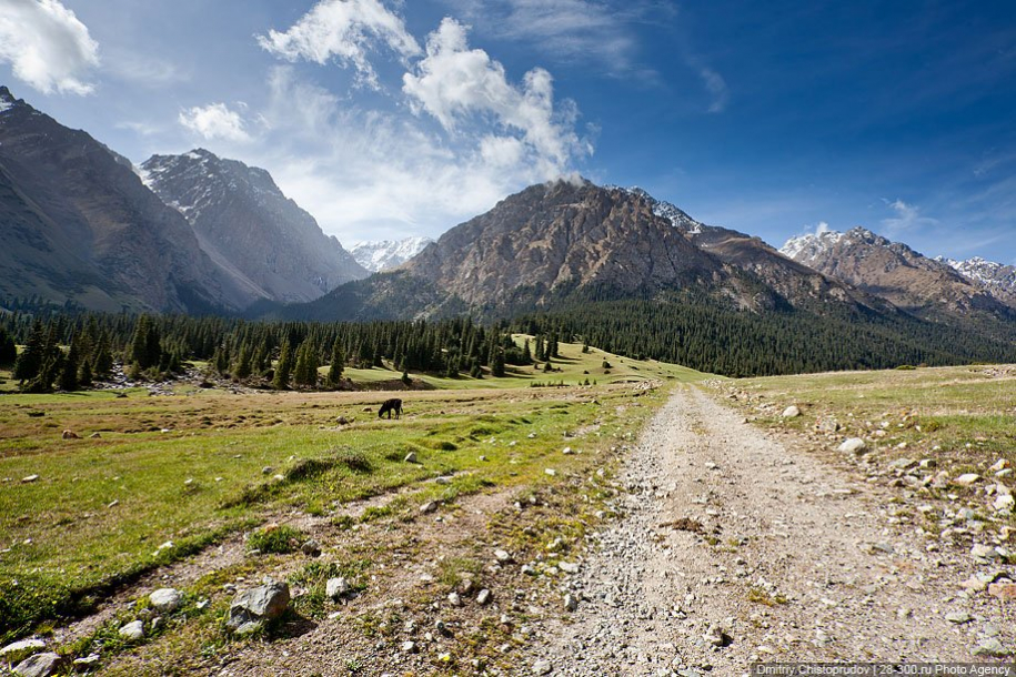Горная долина Джууку и киргизско-альпийские луга 