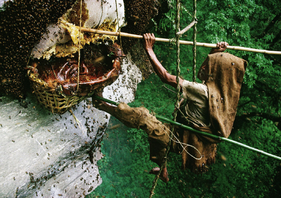 Охотники за диким медом в Непале 