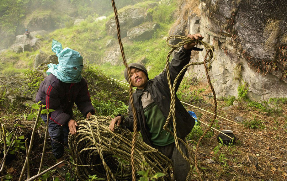 Охотники за диким медом в Непале 