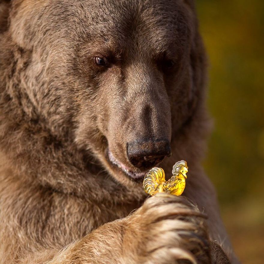 Медведь Степан и сказочные образы 