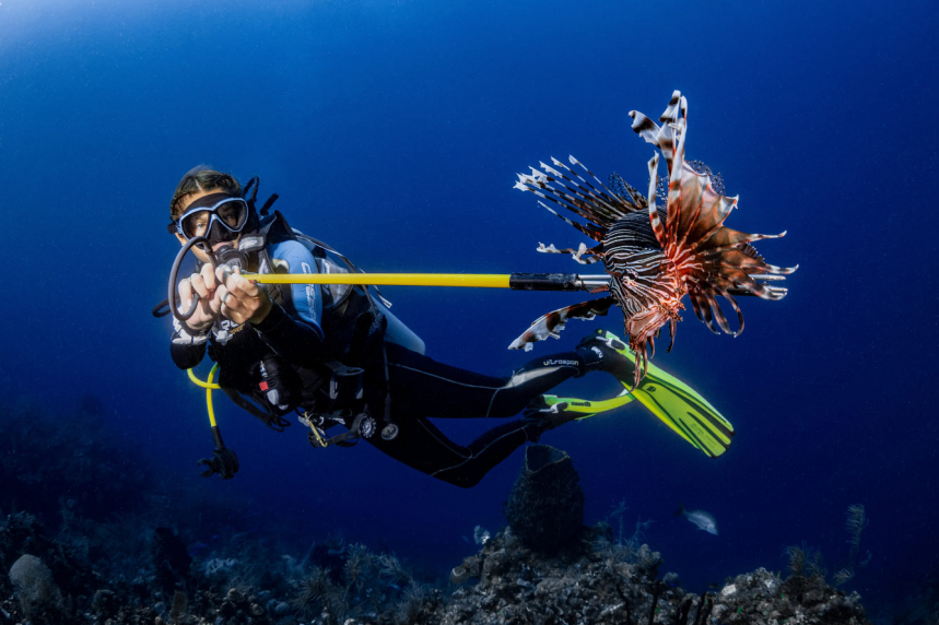 Конкурс подводной фотографии Ocean Art 2020 